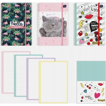 Zápisník Zápisník A5 Interdruk, vícebarevný