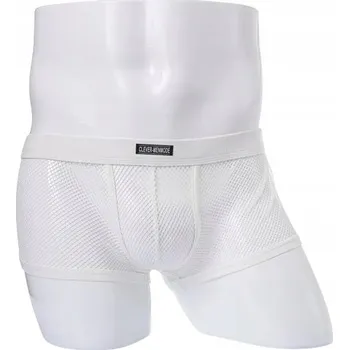 Pánské spodní prádlo Sexy pánské průhledné boxerky ze síťoviny - 3XL