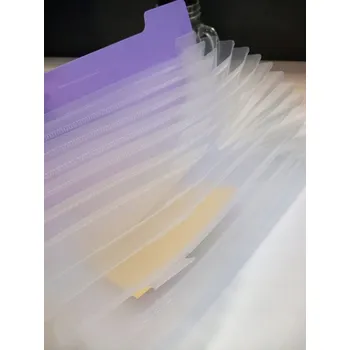 Pořadač na dokumenty pro studenty B6, 12 přihrádek, bílý