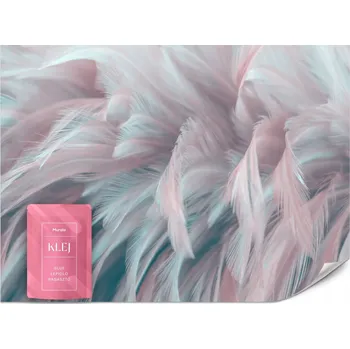 Fototapeta Fototapeta na zeď Barevná PÍRKA Dekor 3D 368x254