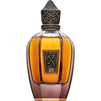 Unisex parfém Xerjoff Aqua Regia parfém unisex 100 ml