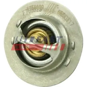 Těsnění motoru Termostat, chladivo FAST FT58009