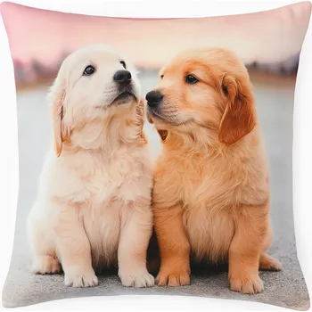 Povlak na polštářek Dekorační Povlak na Polštář 45x45 Zvířata Kočky Psi - Měkký, Velurový