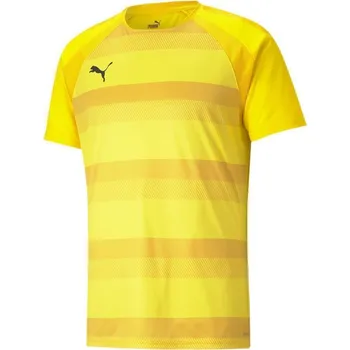 Fotbal Dres Puma teamVISION Jersey 70492107 Velikost S