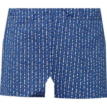 Chlapecké spodní prádlo Dětské Trenýrky FOLTÝN DT133 Velikost: 152