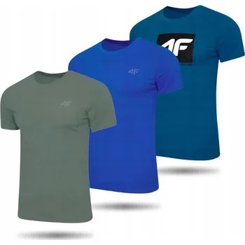 Pánské tričko s kulatý výstřihem 4F, velikost M