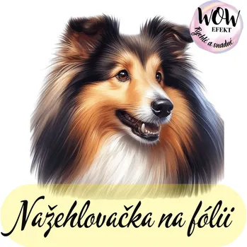 Nažehlovačky na fólii Nažehlovačka na fólii, Pes - SHELTIE, 1 kus Zvolte VELIKOST motivu ZDE:: Menší