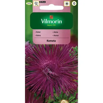 Semeno Astra čínská jehlicovitá Kometa (fialová) 10/2025