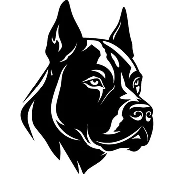 Samolepicí dekorace na vozidlo Samolepka hlava pitbulla na auto a motorku, tuning nálepka (5993)