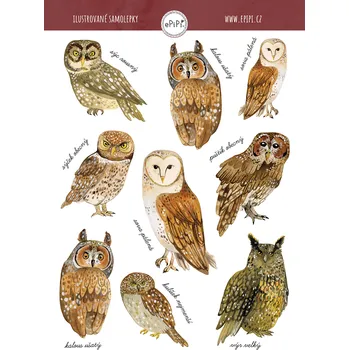Samolepící dekorace ePipí Arch samolepek A6 -Sovy