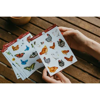 Samolepící dekorace ePipí Arch samolepek Slepice A6