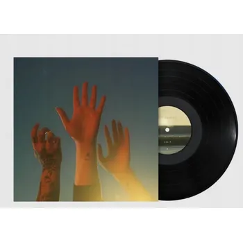 Zahraniční hudba The Record Boygenius Vinylová Deska (LP)