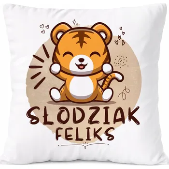 Obraz Dárek Polštář Amadeus pro syna s potiskem