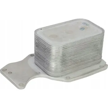 Chladič motoru Thermotec D4B031TT Chladič oleje, motorový olej