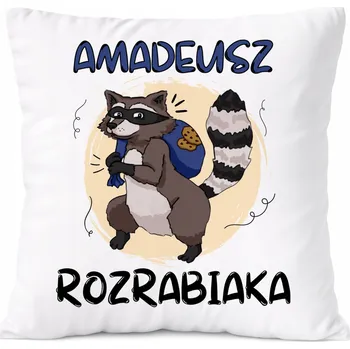 Polštář Dárek Polštář pro Adama, syna, dítě s potiskem