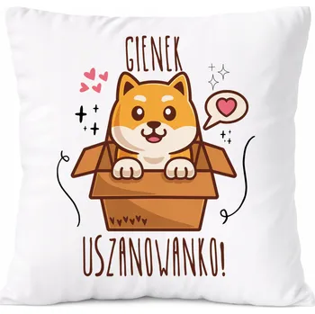 Polštář Polštář Dárek pro Alexeje Syna dítěte s potiskem s fotografií