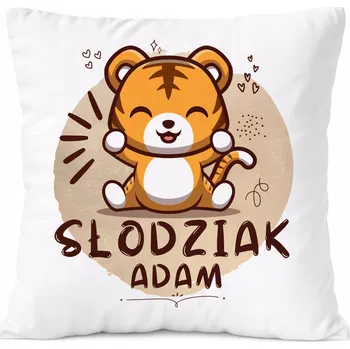 Polštář Dárek Polštář Amadeus pro syna s potiskem