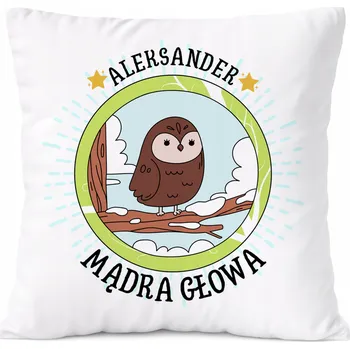 Obraz Dárek Polštář pro syna s potiskem v srpnu