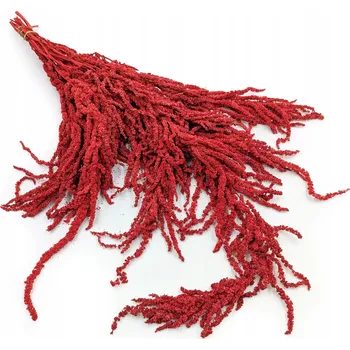 umělá květina Amarant - Amaranthus - Stabilizovaný laskavec - Červený