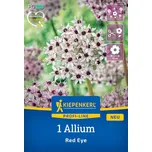 Kiepenkerl Okrasný česnek Red Eye 1 ks