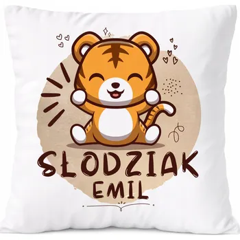 Polštář Dárek Polštář Amadeus pro syna s potiskem