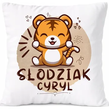 Obraz Dárek Polštář Amadeus pro syna s potiskem