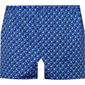 Chlapecké spodní prádlo Dětské Trenýrky FOLTÝN DT135 Velikost: 152