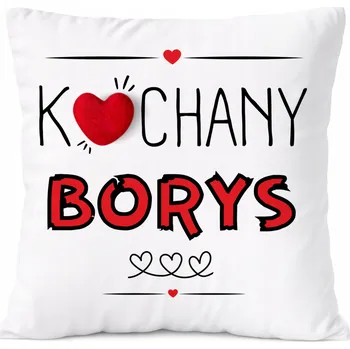 Obraz Dárek Polštář pro syna Borise s potiskem