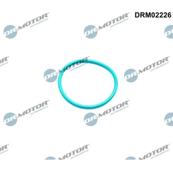 Turbodmychadlo Těsnění AGR ventilu Dr.Motor Automotive DRM02226