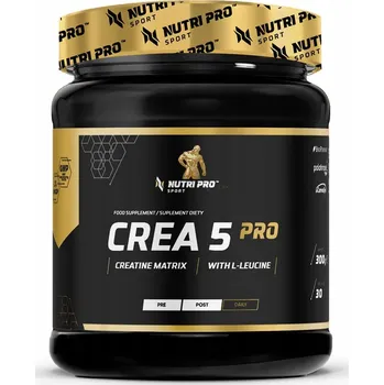 Kreatin v prášku s příchutí granátového jablka Nutri Pro Sport 300 g