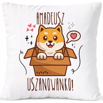 Polštář Polštář Dárek pro Alexeje Syna dítěte s potiskem s fotografií