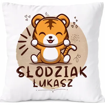 Polštář Dárek Polštář Amadeus pro syna s potiskem