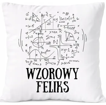 Polštář Polštář pro typáře jako Dárek s s potiskem a fotografií Bílá PoliDraw