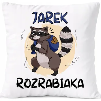 Obraz Polštář Dárek pro Emila, syna, dítě s potiskem fotografie