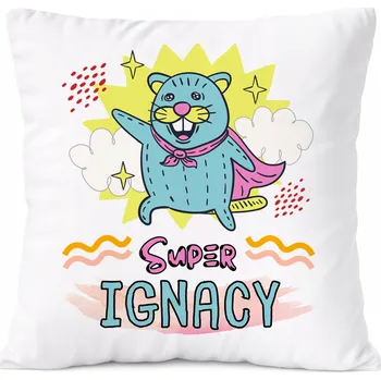 Obraz Dárek Polštář pro syna Alberta s potiskem