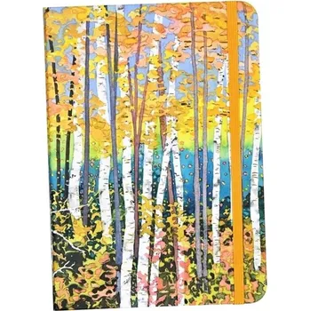 Zápisník Notes A5 Peter Pauper vícebarevný