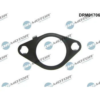 Turbodmychadlo Těsnění AGR ventilu Dr.Motor Automotive DRM01706