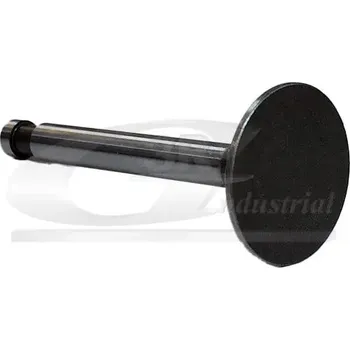 Ventil motoru 3RG 87218 Výfukový ventil