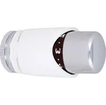 SALUS Controls TRV30