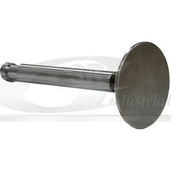 Ventil motoru 3RG 87217 Výfukový ventil