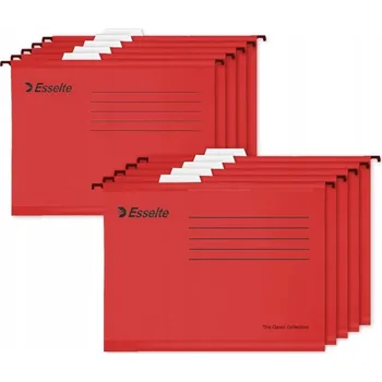 Pořadač / Organizér na dokumenty A4 s přihrádkami Esselte