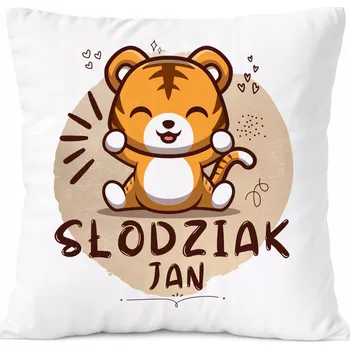 Polštář Dárek Polštář Amadeus pro syna s potiskem