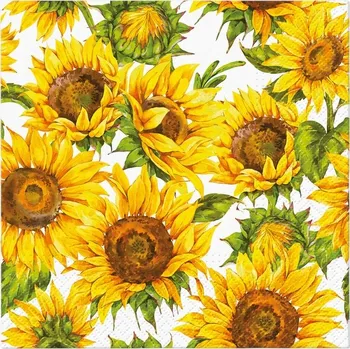 Papírový ubrousek Ubrousek papírový obdélníkový 33 cm x 33 cm