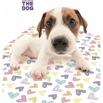 Dětská deka Dětská deka Detexpol 75 x 100 cm, vícebarevná