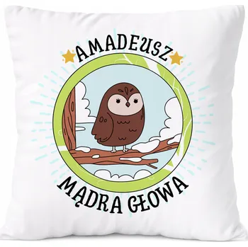 Polštář Dárek Polštář pro syna s potiskem v srpnu