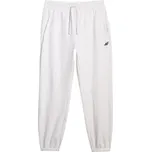 Pánské kalhoty 4F Trousers Cas M1139 Velikost: L / Barva: šedá