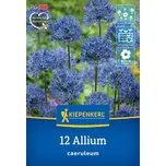 Kiepenkerl Okrasný česnek směs 12 ks