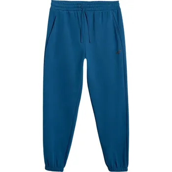 Pánské kalhoty Pánské kalhoty 4F Trousers Cas M1139 Velikost: XL / Barva: modrá