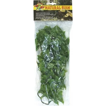 Teraristika Terarijní rostlina ZMD Mexican Phyllo M