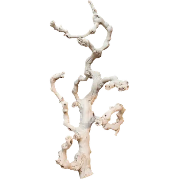 Dekorace do terária Grapewood sandblasted branchy (60cm) + doprava zdarma